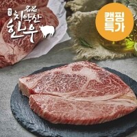 원주축협 치악산한우 등심 500g [1++등급]